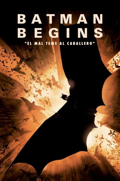 Cartel de Batman Begins
