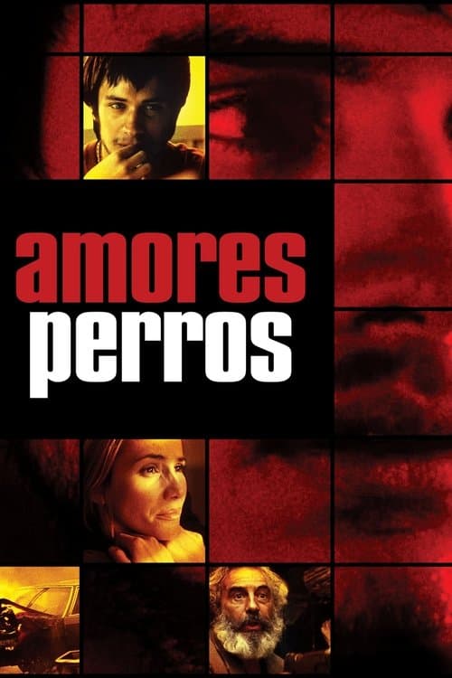 Cartel de Amores perros